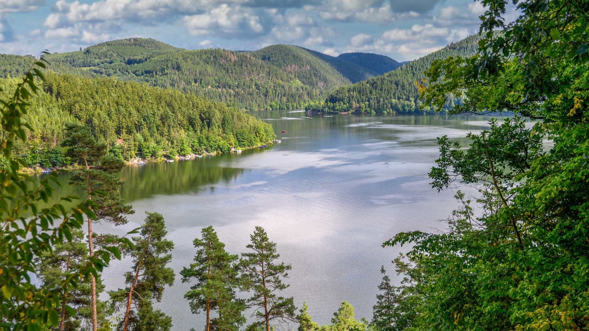 bewusst natur GmbH - Header 3